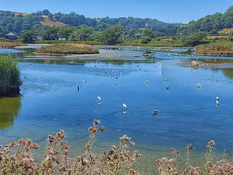Photo de Island Hide