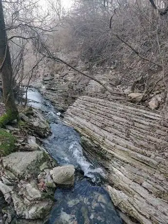 Photo de Oasi Stellare