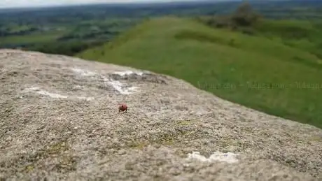 Photo de Brent Knoll
