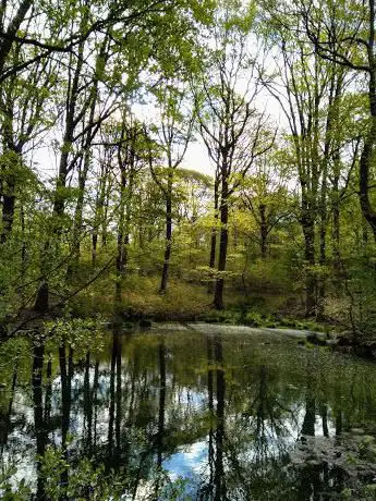 Photo de Wyre Community Land Trust