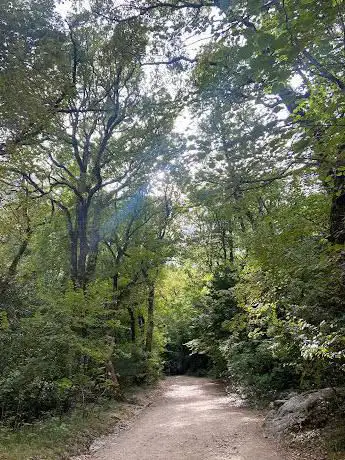 Photo de Forêt de la Sainte-Baume