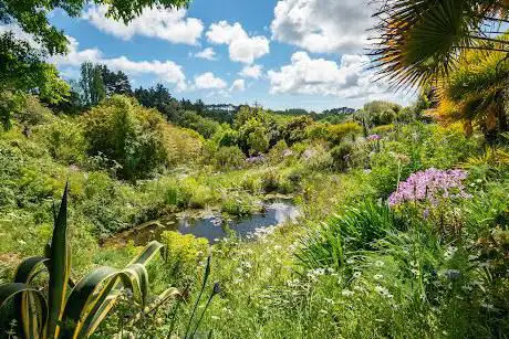 Photo de La Laurisylve Garden