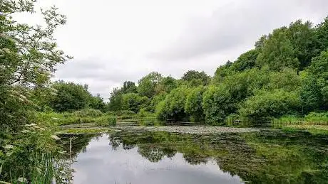 Prestwich Forest Park
