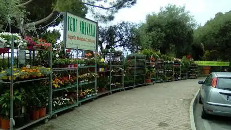 Allavena1831 Garden&terrace showroom