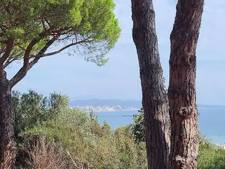 Photo de Area sosta