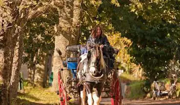 Photo de Sark Carriages