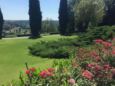 Photo de Viale delle Rose