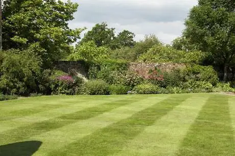 Thomas Garden
