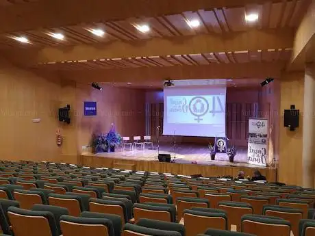 Photo de Auditori del Palau Falguera