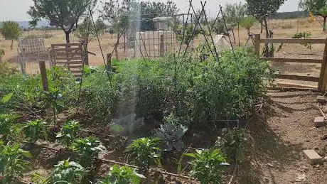 Photo de El Huerto del Búho