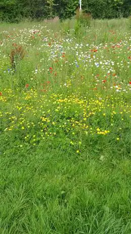 Knowle Battery