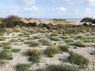 Photo de Noordelijke duinen Zwin