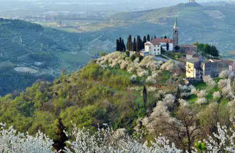 Photo de Belvedere