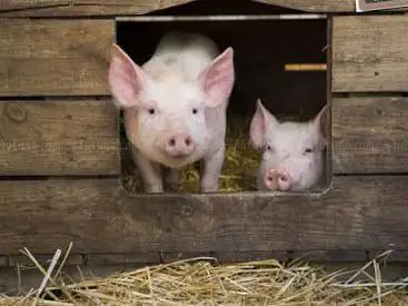 Photo de Gens de la Terre