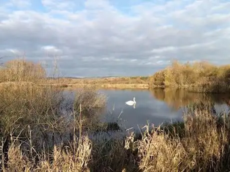 Nutfield Marshes