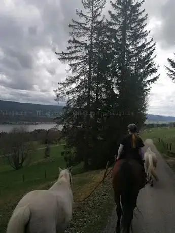 Photo de Manège de la Vallée
