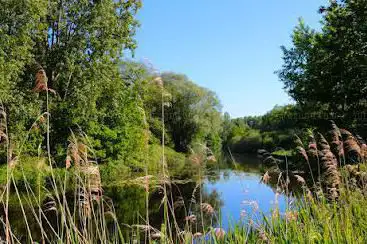 Domein Kriephoek