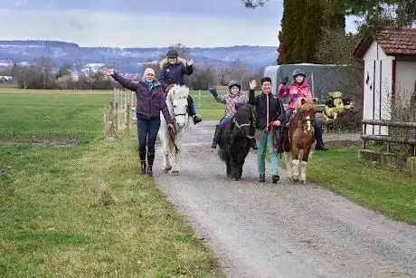 Ponys mit Herz