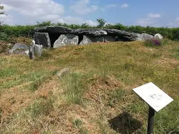 Liscuis gallery graves