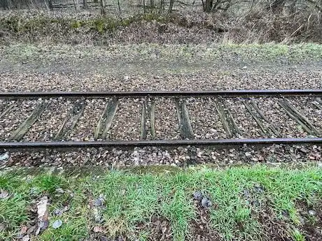 Station Spekholzerheide (Miljoenenlijn)
