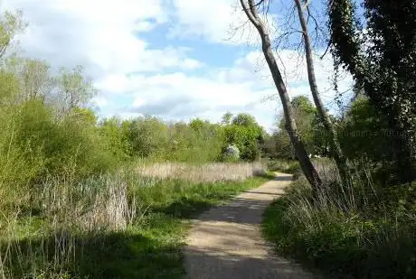 Monks Brook Greenway