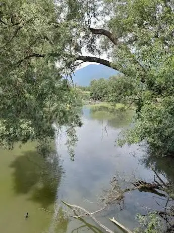 Photo de Biotopo lago Idro (laguna degli Svassi)