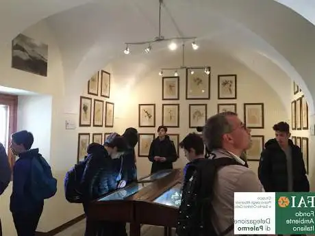 Photo de Musée Civique Nicola Barbato