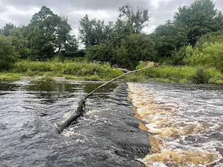 Photo de The Stepping Stones