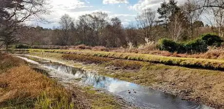 Photo de Brentmoor Heath