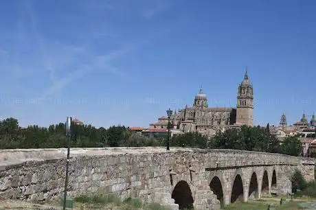 Photo de verraco del puente