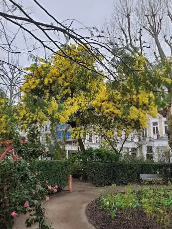Photo de Lexham Gardens (private gardens)