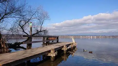 Rausebach-Steg
