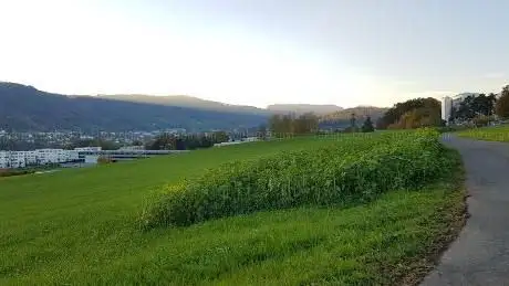 Familiengartenverein Zürich-Süd â€“ Moos