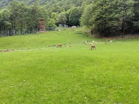 Photo de Osservatorio faunistico