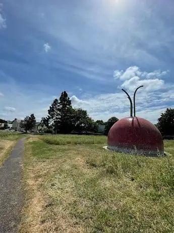 Photo de Radis géant