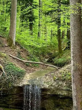 Photo de Kleiner Wasserfall im Wald