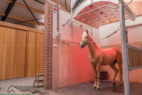 Johorse Europe | Horse & Stable Equipment