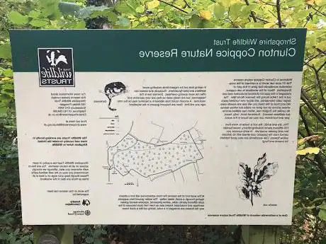 Photo de Clunton Coppice Nature Reserve