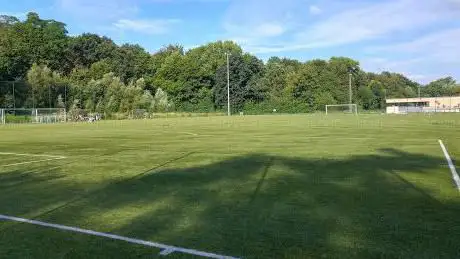 Photo de Le Stade du RLHSC