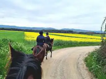 Photo de EcoSlow Experience Spain Horse Trails