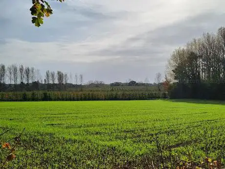 Greenspotwandeling Zammelen