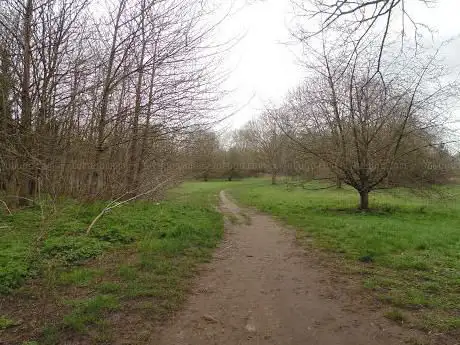 Photo de Ham Lands Local Nature Reserve