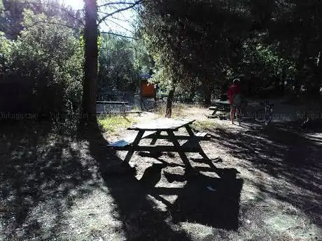 Picnic area