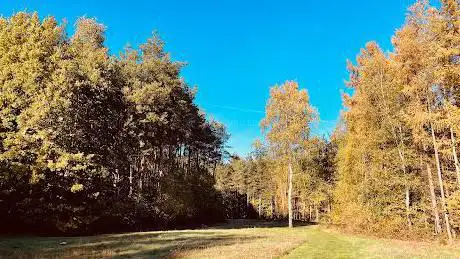 Photo de Archeologisch park de Rieten