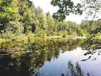 Photo de Pfälzerwald - Nordvogesen