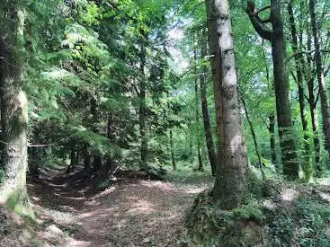 Forêt de Loudéac - Borne Fontaine