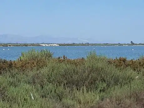 Photo de Salinas de Santa Pola