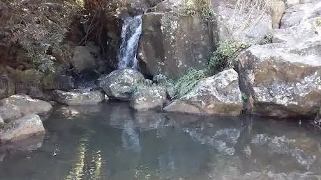 Bassin Kato