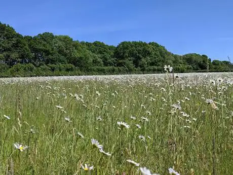 Photo de Dancersend Nature Reserve