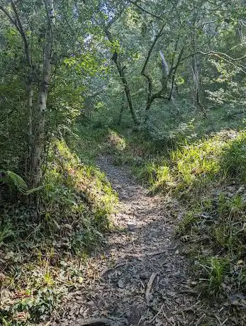 SW coastal path